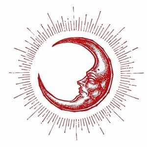 Meet your Posher, Natasha